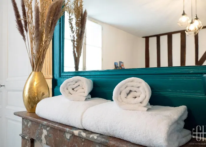 Le Congres / Gare De A 100m 公寓 图尔