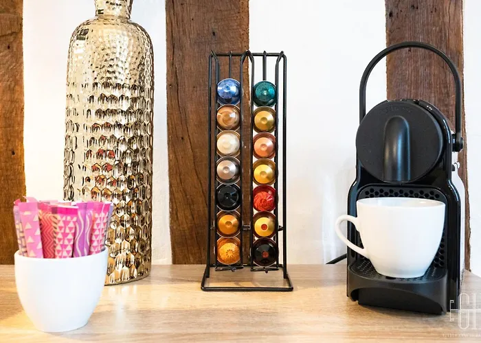 Le Congres / Gare De A 100m 公寓 图尔