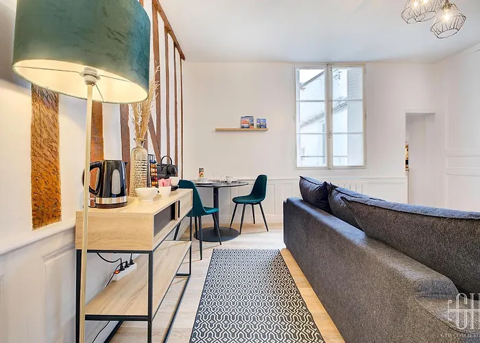 Le Congres / Gare De A 100m 公寓 图尔